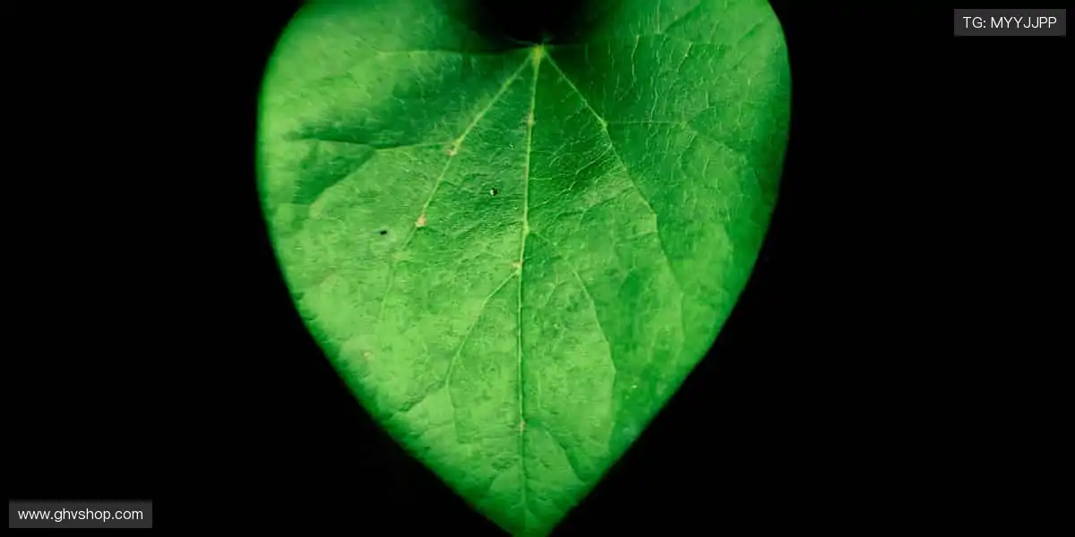 🎯 从策划到上线，每个细节都追求极致完美！